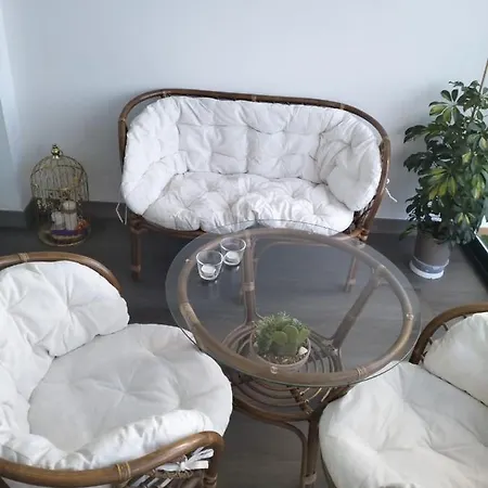 Apartament Domus Aura *